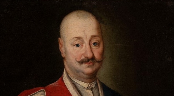  "Portret Mikołaja Potockiego".  
