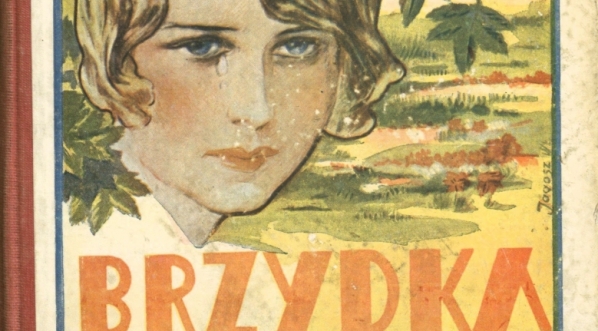  "Brzydka : powieść dla panienek z ilustracjami" Michaliny Domańskiej.  