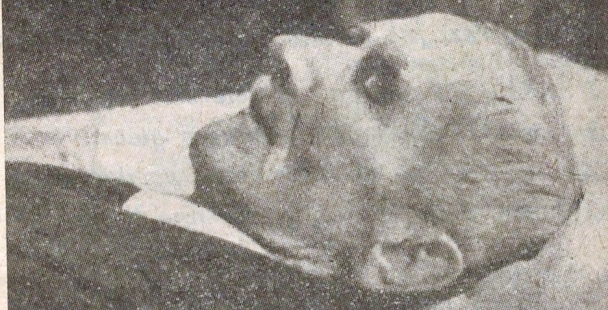  Fotografia pośmiertna Roman Dmowskiego oraz wiersz Konstantego Dobrzyńskiego "Ostatni apel".  