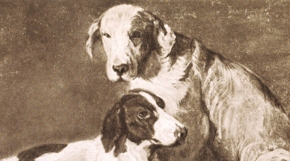  "Dwa Psy" Piotra Michałowskiego.  