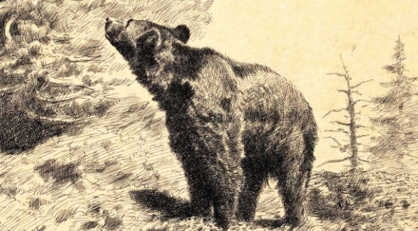  "Niedźwiedź w górach" Stanisława Witkiewicza.  