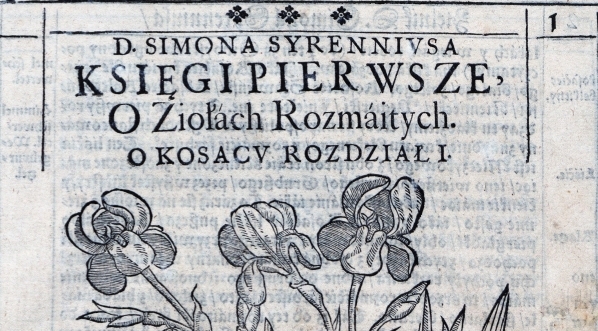  "Zielnik herbarzem z ięzyka łacinskiego zowią : to iest Opisanie własne imion, kształtu, przyrodzenia, skutkow y moc zioł wszelakich [...] polskim ięzykiem zebrany y na osmiero ksiąg rozłozony [...]" Szymona Syreńskiego.  
