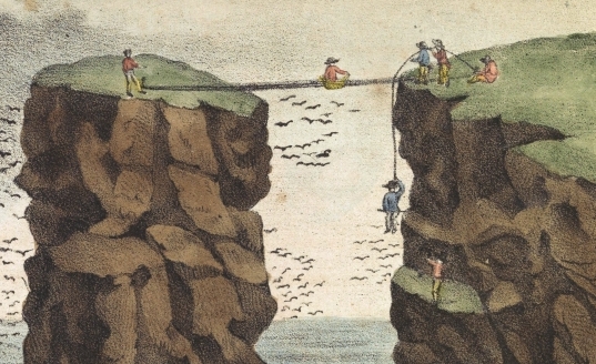  "Łówka ptaków na Orkadach".  