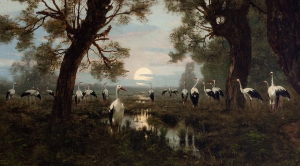  "Sejm bociani" Władysława Aleksandra Maleckiego.  