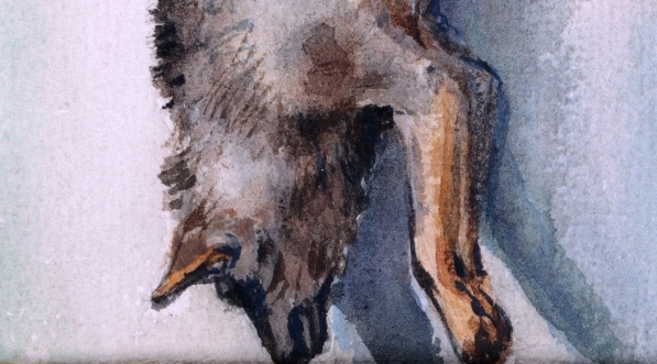  "Upolowany wilk" Władysława Jana Pochwalskiego.  