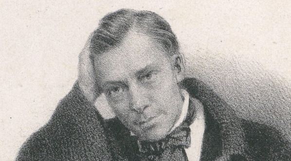  "Wł. Syrokomla" Maksymiliana Fajansa.  