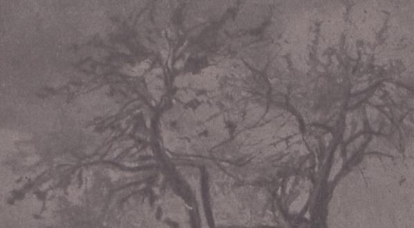  "Jan Stanisławski" Mieczysława Sterlinga.  