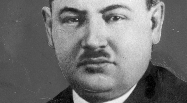  Tadeusz Hołówko, poseł.  