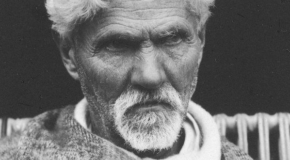  Apolinary Tarnawski, lekarz naturalista, właściciel lecznicy w Kosowie.  