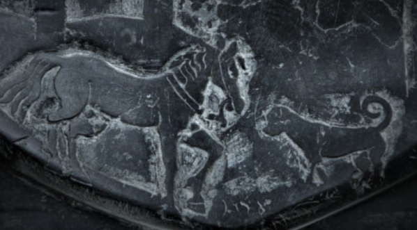  Dolna część herbu z epitafium Andrzeja Czarneckiego z kościoła Św. Piotra i Pawła w Krakowie.  