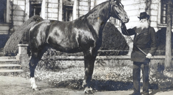  Portret Mieczysława Kwileckiego z koniem.  