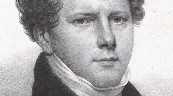  "Antoni Brodowski professor Królewskiego Alevandr. Uniwersytetu" Adolfa Piwarskiego.  