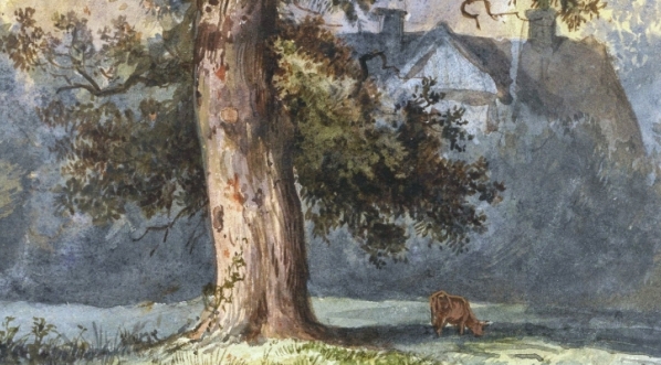  "Krajobraz z dębem i domami w głębi" Franciszka Kostrzewskiego.  