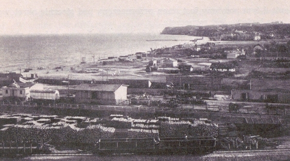  Tereny, na których wybudowane zostały baseny: Południowy, Prezydenta i Żeglarski.  