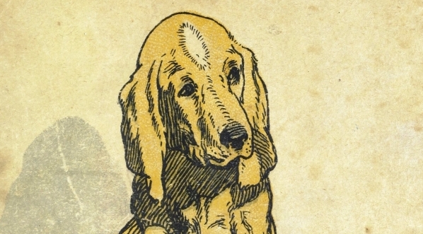  "Bohater Cis" Kazimierza Rosinkiewicza.  