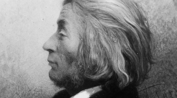  "Portret Adama Mickiewicza z natury" Franciszka Tepy.  