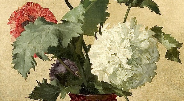  "Peonie" Anny Bilińskiej-Bohdanowicz.  