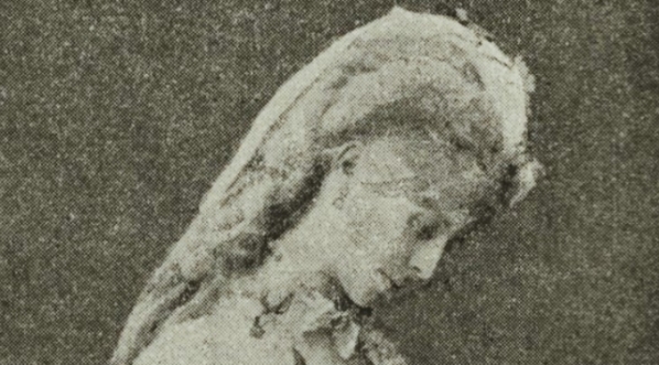  Cholewicka.  