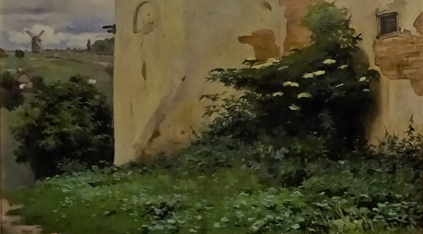  "Dziki bez" Jana Stanisławskiego.  