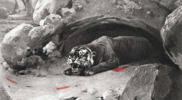  Ilustracja z książki Józefa Mikołaja Potockiego "Notatki myśliwskie z Dalekiego Wschodu. 1, Indye".  