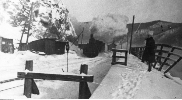  5 Dywizja Syberyjska - odwrót oddziałów wojskowych z Syberii w 1919 r.  