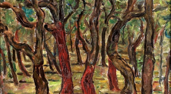  "Las" Tytusa Czyżewskiego.  