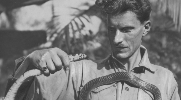  Arkady Fiedler trzymający węża w czasie polskiej ekspedycji naukowej do Puszczy Brazylijskiej w 1929 r.  