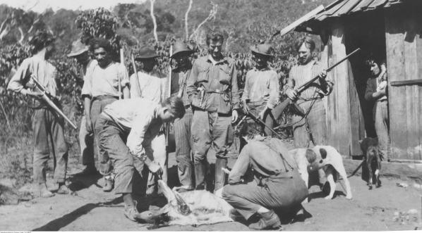  Uczestnicy polskiej wyprawy naukowej do Puszczy Brazylijskiej obdzierają ze skóry upolowanego jelenia, 1929 r. .  