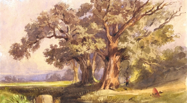  "Krajobraz z dębami" Józefa Szermentowskiego.  