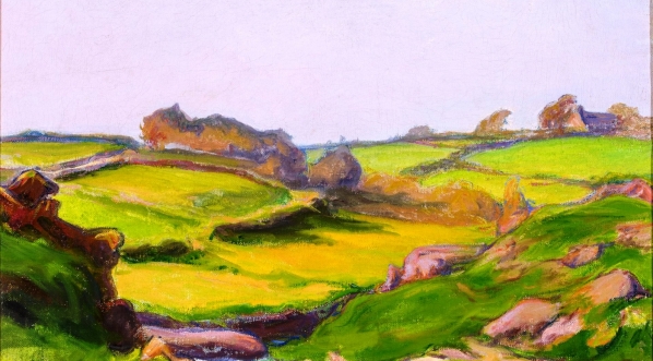  "Pola Janowca" Władysław Ślewiński.  