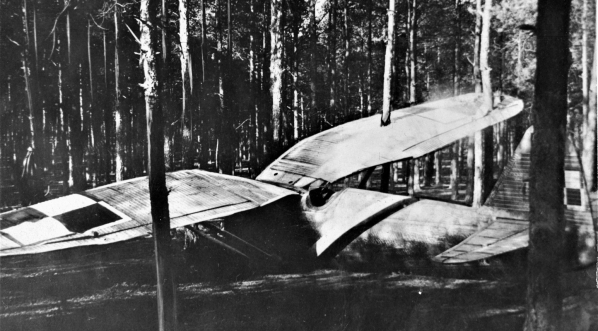  Rozbity samolot PZL P-6 kpt. Bolesława Orlińskiego w 1931 r.  