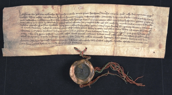  Dokument z pieczęcią wystawiony przez Władysława Opolczyka 8 listopada 1377 roku w Przemyślu.  