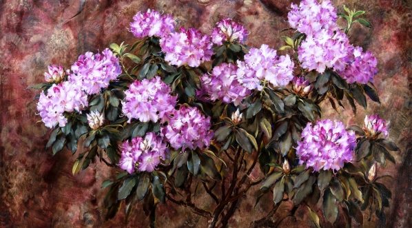  "Rododendrony" Stanisława Ejsmonda.  