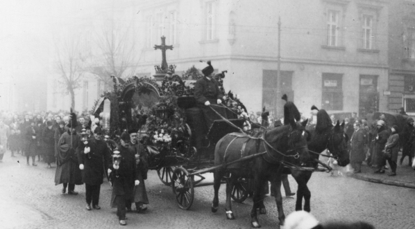  Pogrzeb profesora Ludwika Birkenmajera w listopadzie 1929 r.  